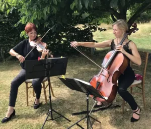 Cotswolds strings fayres