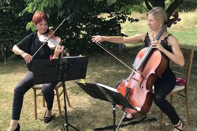 Cotswolds strings fayres