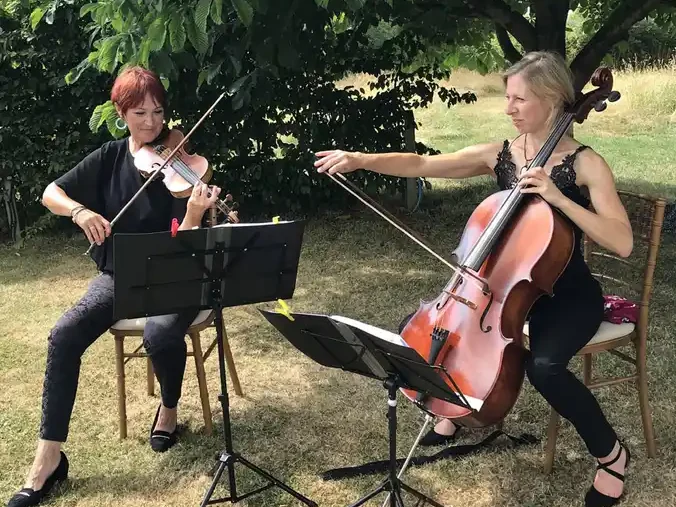 Cotswolds strings fayres